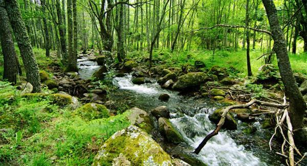 Ruralrut-El Tiemblo Wifi, Cabina De Hidromasaje, Aire Acondicionado Y A Pocos Metros De Zonas De Bano Naturales Bagian luar foto