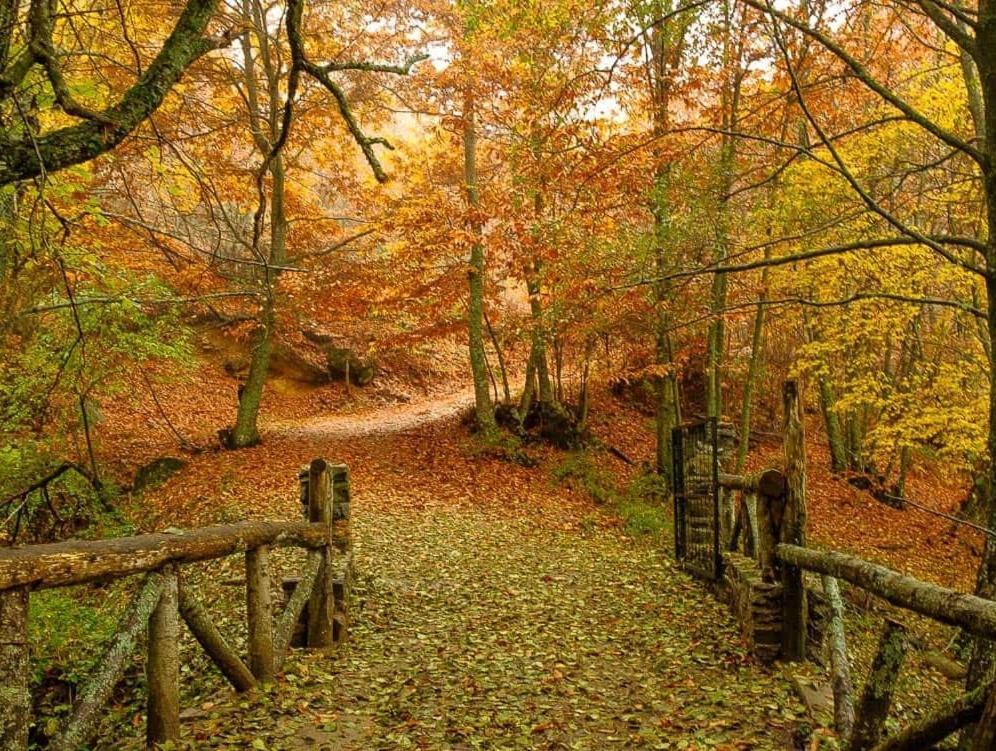 Ruralrut En El Tiemblo Precios Especiales A Partir De 7 Noches, Wifi, Cabina De Hidromasaje, Aire Acondicionado, Zonas De Bano Naturales Cercanas Bagian luar foto