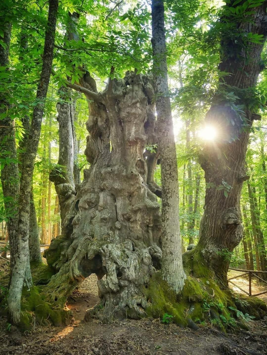 Ruralrut En El Tiemblo Precios Especiales A Partir De 7 Noches, Wifi, Cabina De Hidromasaje, Aire Acondicionado, Zonas De Bano Naturales Cercanas Bagian luar foto