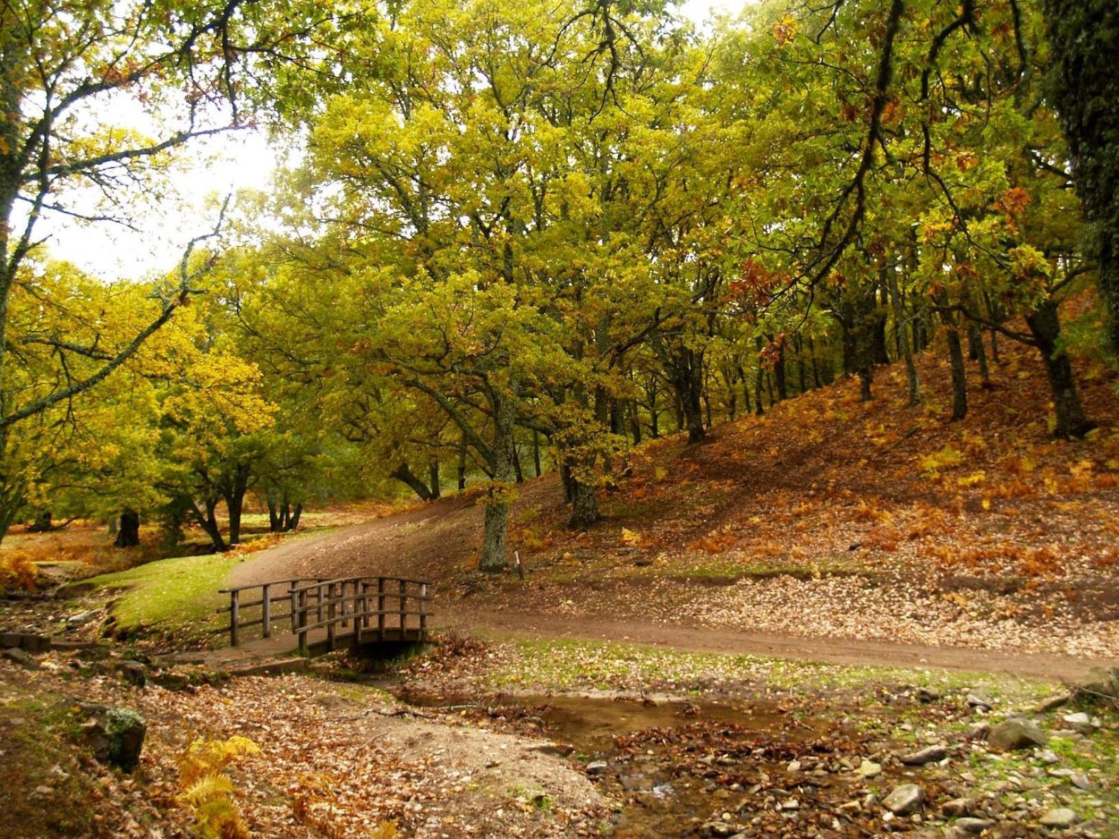 Ruralrut En El Tiemblo Precios Especiales A Partir De 7 Noches, Wifi, Cabina De Hidromasaje, Aire Acondicionado, Zonas De Bano Naturales Cercanas Bagian luar foto